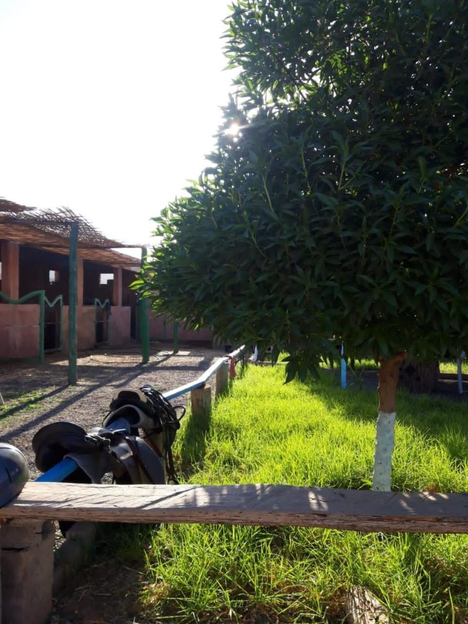 Villa Les Cavaliers Chez Yassine à Marrakesh Extérieur photo