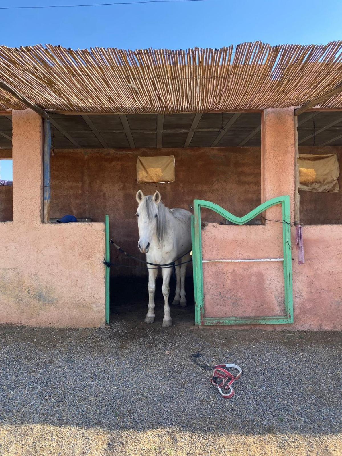 Villa Les Cavaliers Chez Yassine à Marrakesh Extérieur photo