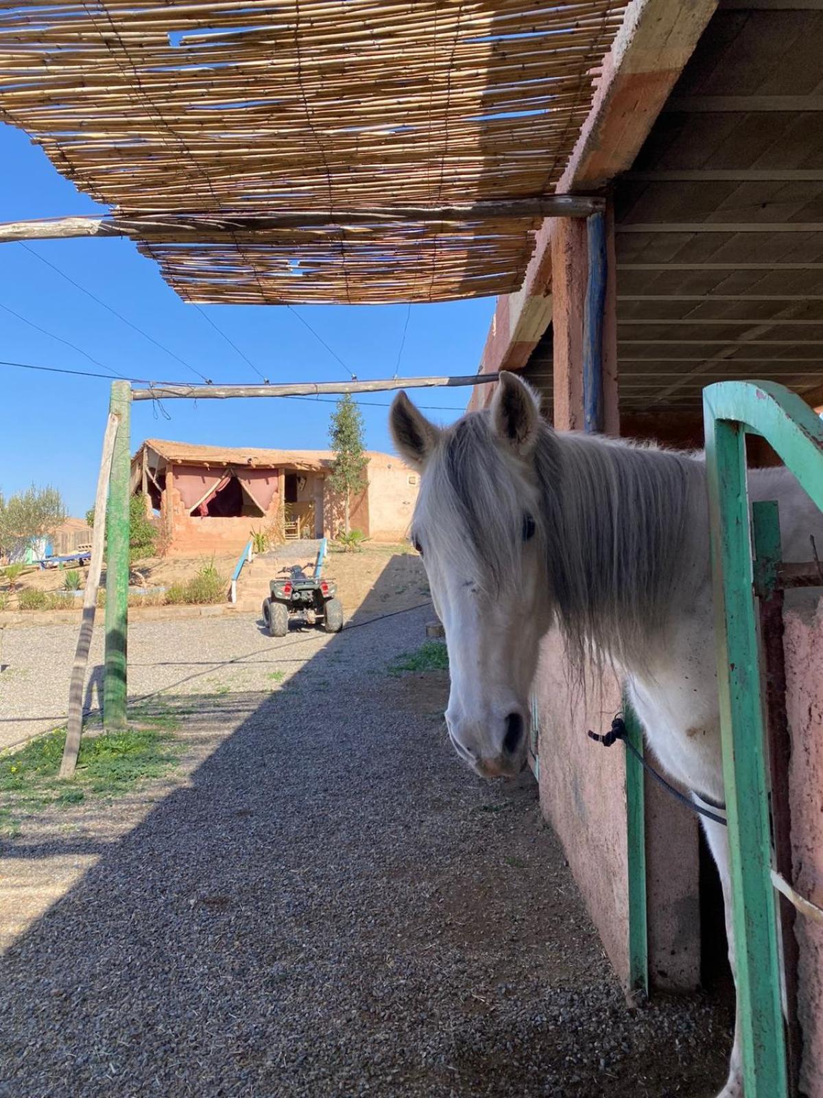 Villa Les Cavaliers Chez Yassine à Marrakesh Extérieur photo